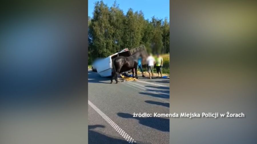 Sex Afera Czyli K Opoty W Jta Panek