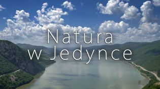 Natura w Jedynce - Dzika Szkocja - Odc. 2 Wyspy