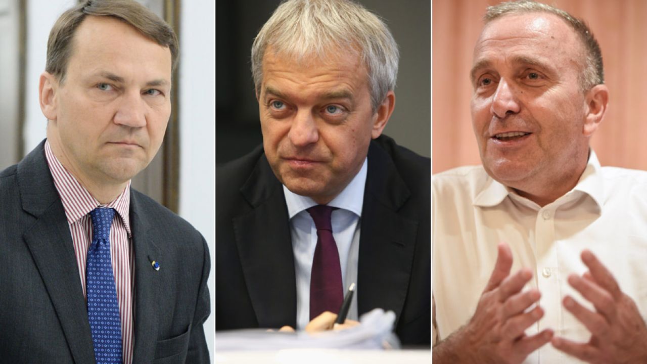 Od lewej Radosław Sikorski, Jacek Krawiec i Grzegorz Schetyna (fot. arch.PAP/Jacek Turczyk/Marcin Bednarski/PAP/Roman Jocher) Od lewej Radosław Sikorski, Jacek Krawiec i Grzegorz Schetyna (fot. arch.PAP/Jacek Turczyk/Marcin Bednarski/PAP/Roman Jocher)