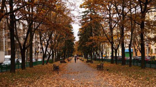 Восень у Менску, Беларусь. Здымак мае ілюстрацыйны характар. Фота: Pexels