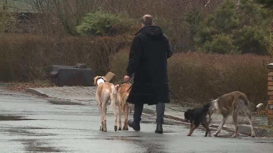 fot.: TVP3 Gorzów Wlkp.