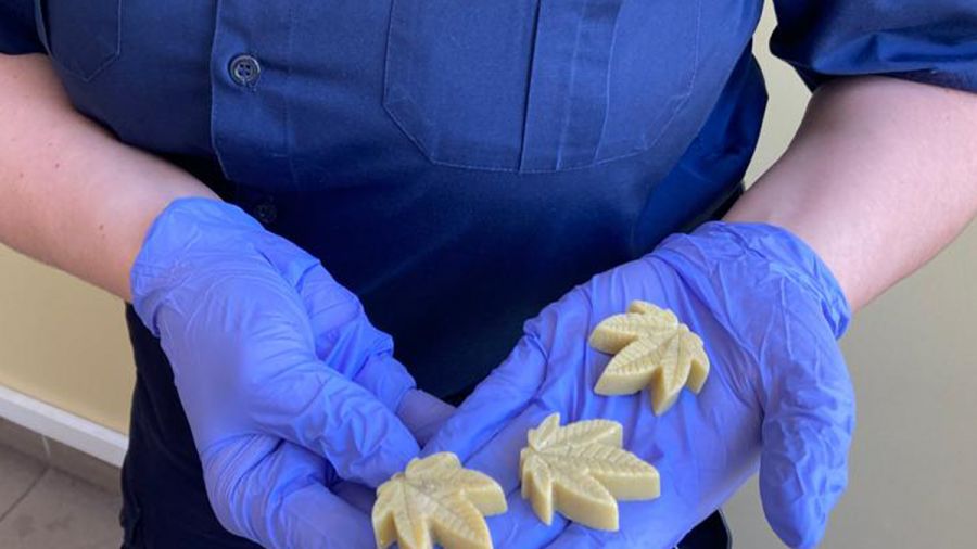 Mia W Domu Ciasteczka W Kszta cie Li ci Konopi Smakowa y Marihuan mia-w-domu-ciasteczka-w-kszta-cie-li-ci-konopi-smakowa-y-marihuan