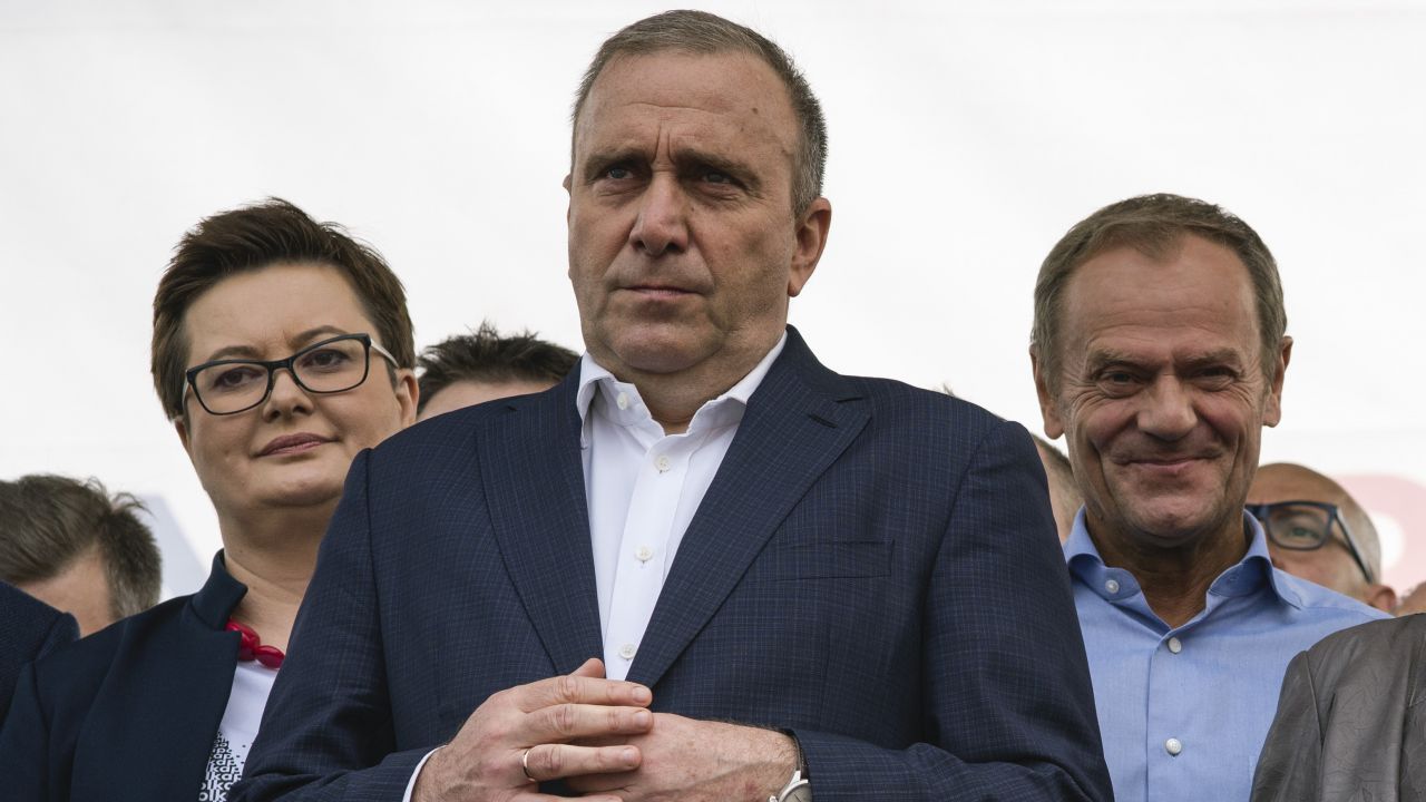 Grzegorz Schetyna nie wierzy w pokonanie PiS w pojedynkę - Vimarsana News