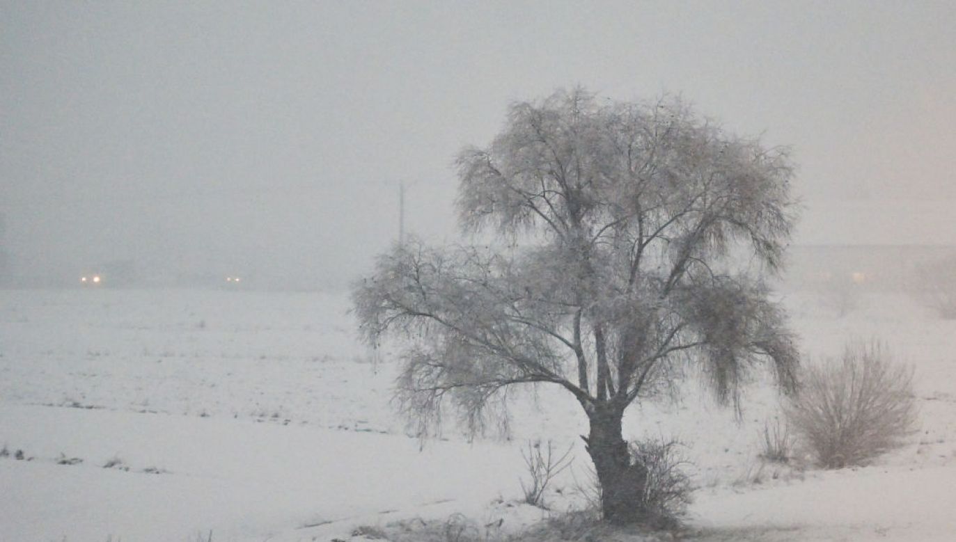 W sobotę spadnie w Polsce sporo śniegu. (Fot. Artur Widak/NurPhoto; Getty Images)