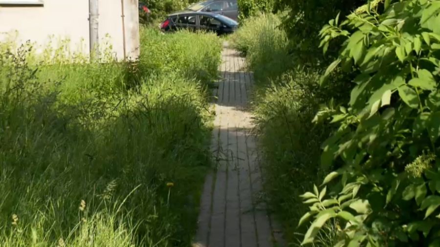 Trawa na Szydłówku sięga na półtora metra… Mieszkańcy domagają koszenia