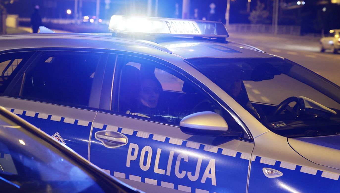 Do napadu doszło w godzinach nocnych na terenie gminy Iława (fot. Shutterstock)