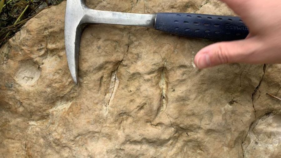 Góry Świętokrzyskie piszą historię ewolucji na nowo. Niezwykłe odkrycie polskich naukowców