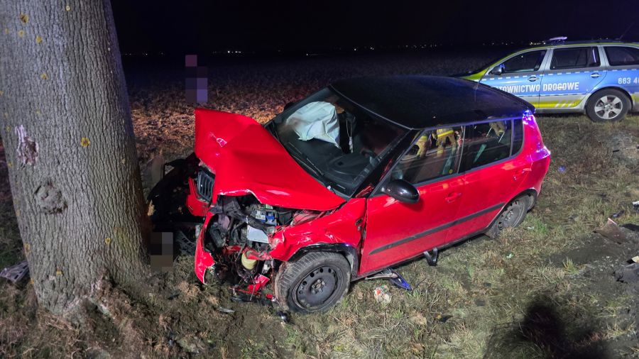 wypadek blokada DW307 Wojnowice - Buk - Opalenica (fot. OSP Buk)