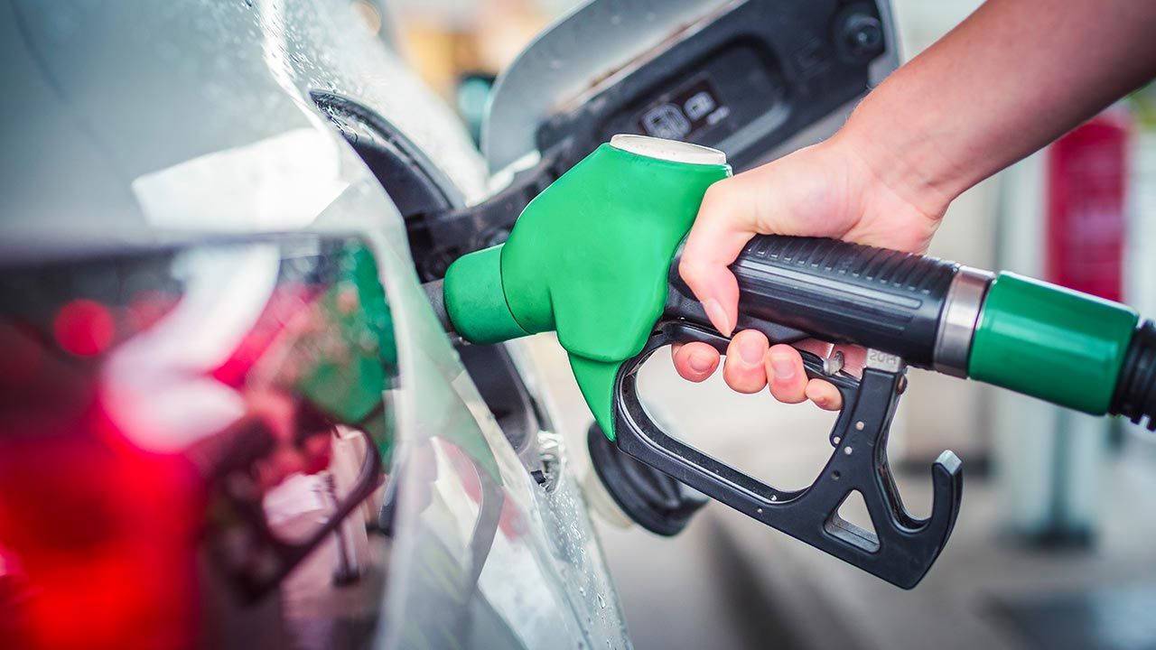 12 stanów apeluje o zakaz sprzedaży samochodów benzynowych od 2035 roku (fot. Shutterstock/zedspider) 12 stanów apeluje o zakaz sprzedaży samochodów benzynowych od 2035 roku (fot. Shutterstock/zedspider)