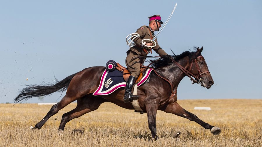 Rekonstrukcja bitwy pod Komarowem w 2019 roku. PAP/Wojtek Jargiło