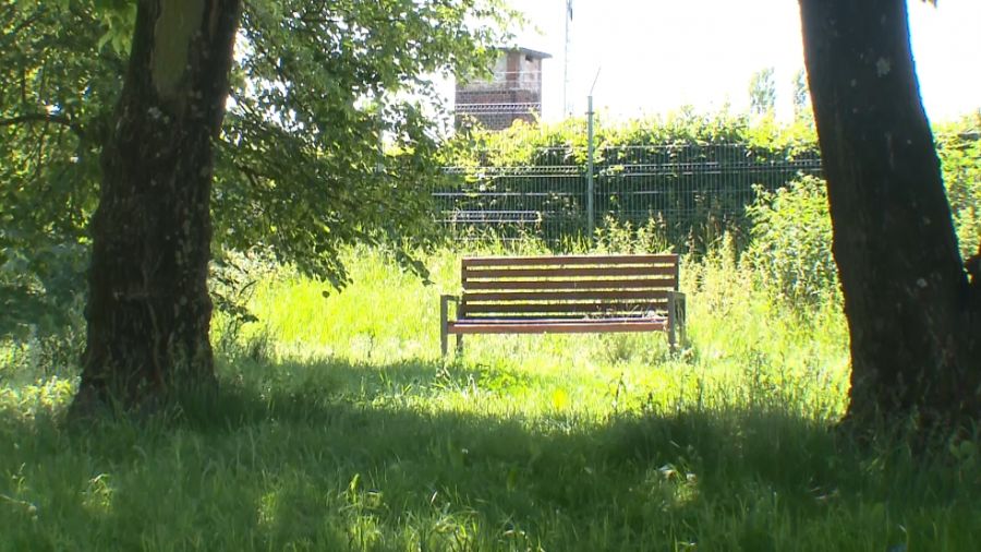 Do brutalnego napadu doszło w nocy z 11 na 12 czerwca 2025 roku w parku Glazja w Toruniu