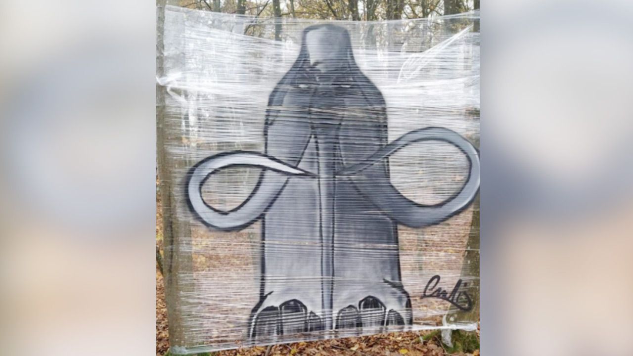 Na folii owiniętej wokół drzew nieznany artysta namalował mamuta (fot. Nadleśnictwo Sławno) Na folii owiniętej wokół drzew nieznany artysta namalował mamuta (fot. Nadleśnictwo Sławno)
