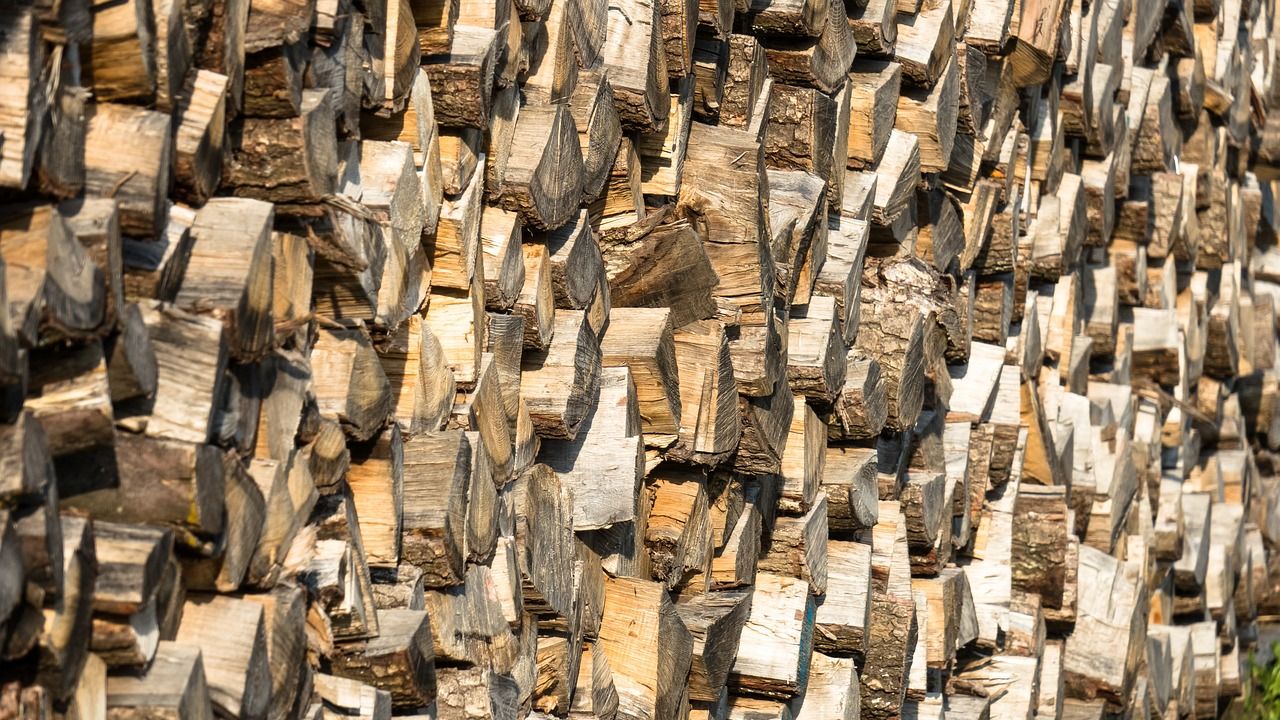 Buriatom brakuje drewna opałowego. (Fot.. Pixabay.com)