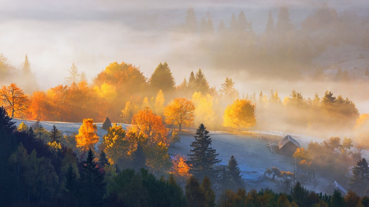 Temperatura sięgnie od 10 do 16 stopni (fot. Shutterstock) Temperatura sięgnie od 10 do 16 stopni (fot. Shutterstock)