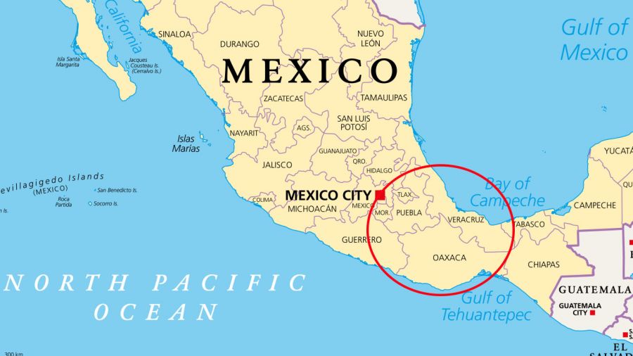 Co najmniej 21 osób zginęło w wypadku na trasie łączącej meksykańskie stany Oaxaca i Puebla (fot. Shutterstock)