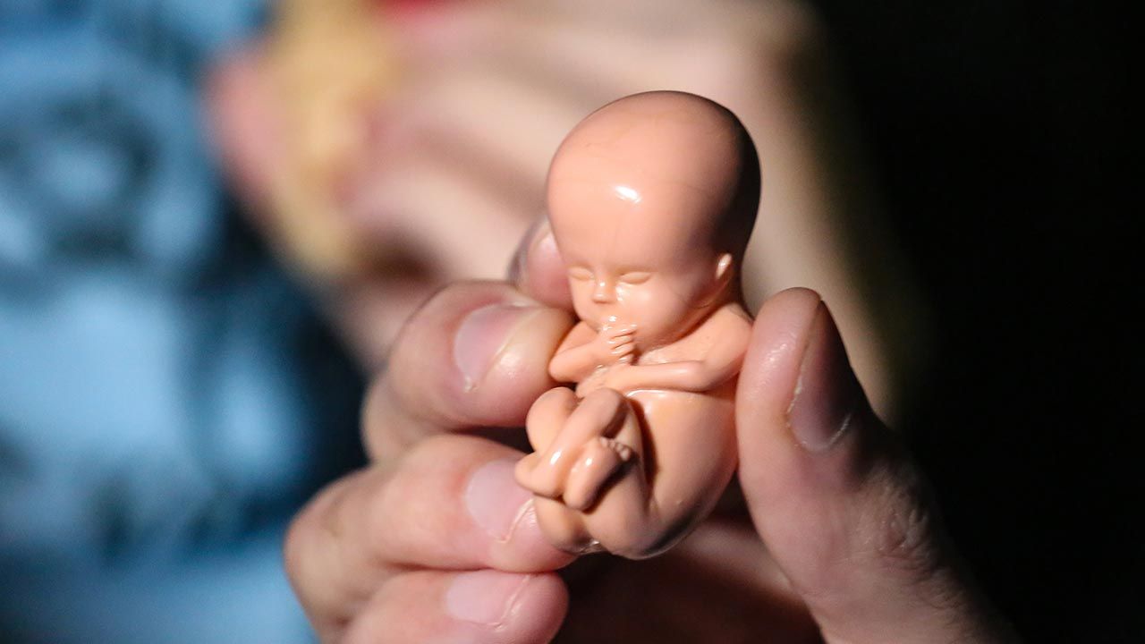 Nowe przepisy pozwalają obywatelom zaskarżyć lekarzy nawet 6 miesięcy po dokonaniu aborcji (fot. Shutterstock/ Gustavo Pantano)