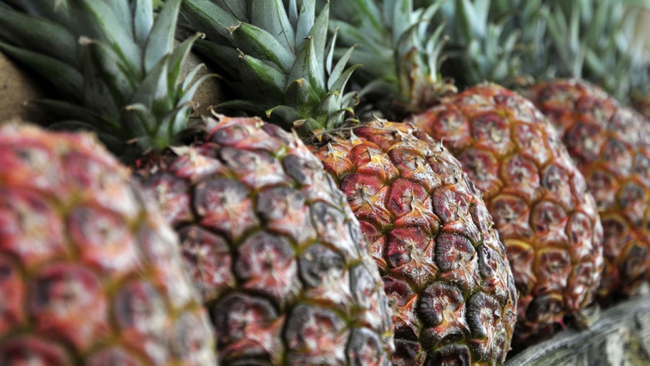 Kokaina była ukryta w kontenerze ananasów (Fot. CIAT/flickr.com)