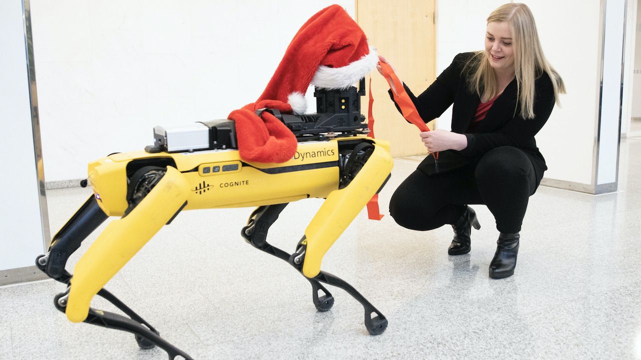 Zwierzęta-roboty mogą być zamiennikiem naszych prawdziwych futrzanych przyjaciół (fot. PAP/EPA/Berit Roald, zdjęcie ilustracyjne) Zwierzęta-roboty mogą być zamiennikiem naszych prawdziwych futrzanych przyjaciół (fot. PAP/EPA/Berit Roald, zdjęcie ilustracyjne)