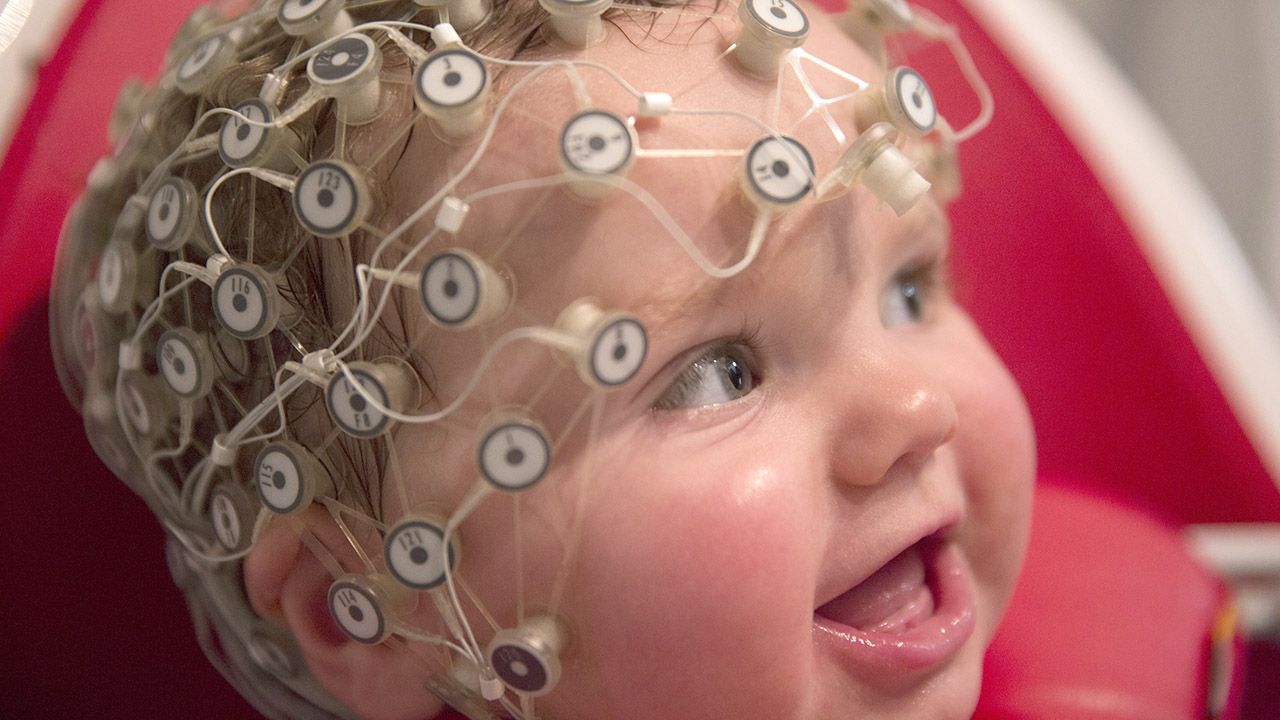 W mózgu człowieka – w samej korze mózgowej – doliczono się od kilkunastu do 30 miliardów neuronów (fot. Getty Images)