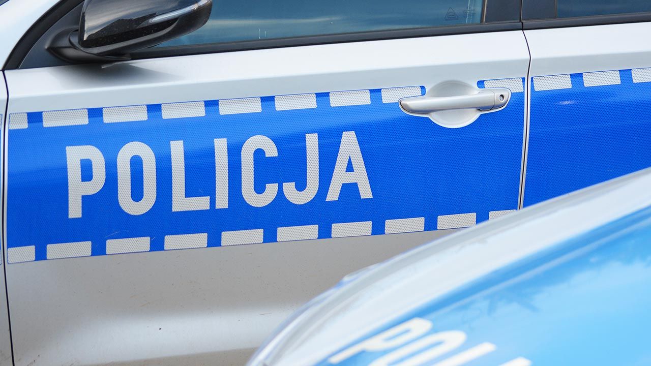 W akcji poszukiwawczej brała udział policja wraz z psami tropiącymi (fot. Shutterstock/DarSzach) W akcji poszukiwawczej brała udział policja wraz z psami tropiącymi (fot. Shutterstock/DarSzach)