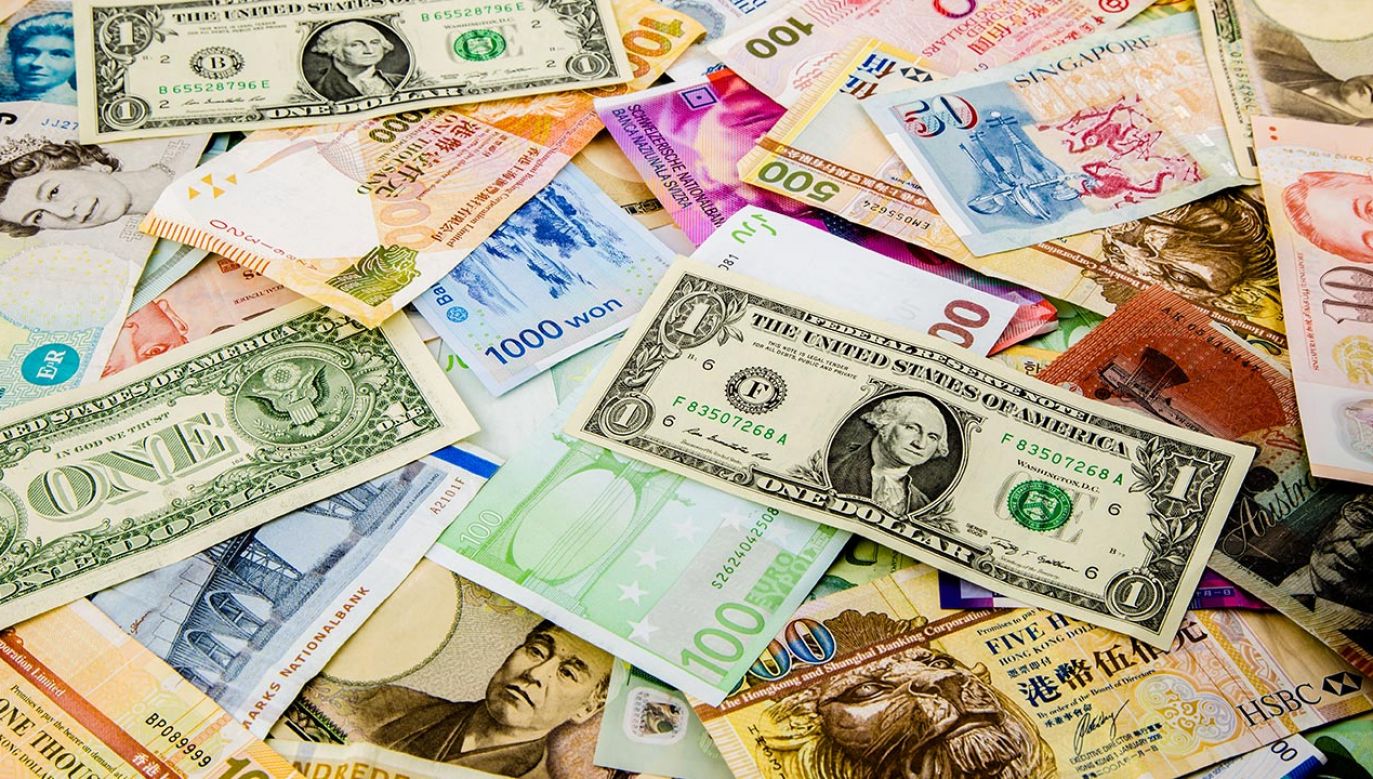Notowania kursów walut – 18 maja 2023 r. (fot. Shutterstock/vinnstock)