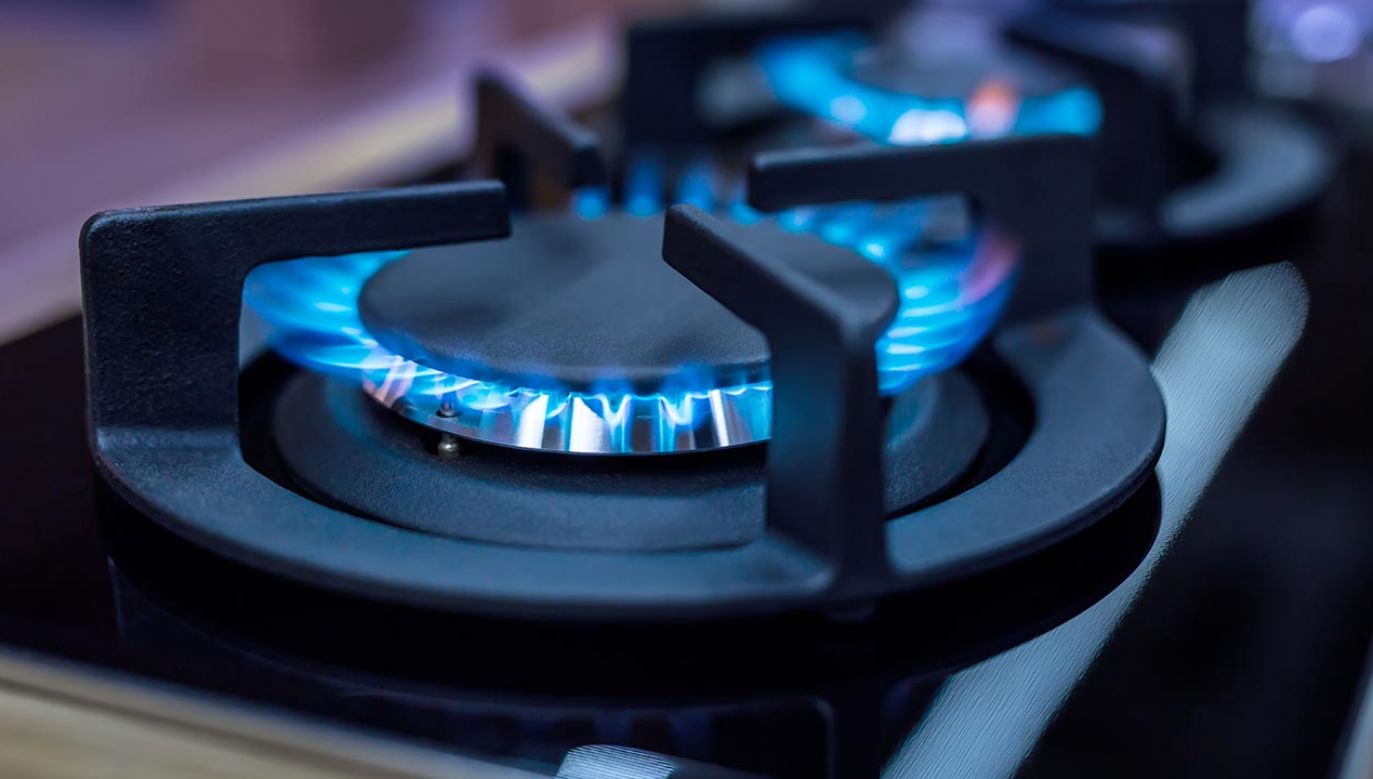 Za gaz nie zapłacimy oskarżycielskimi przemowami Donalda Tuska (fot. Shutterstock/Marian Weyo)