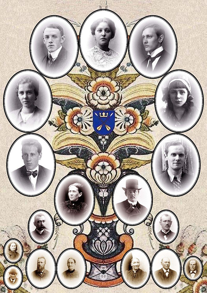 Здымак мае ілюстрацыйны характар. Радаводнае дрэва. Крыніца: Wikipedia