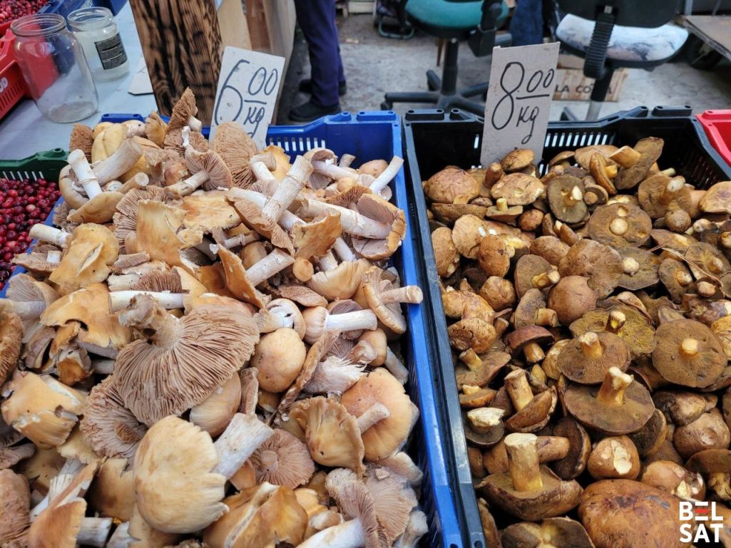 Цены на грибы на одном из рынков в Литве. Фото: Белсат