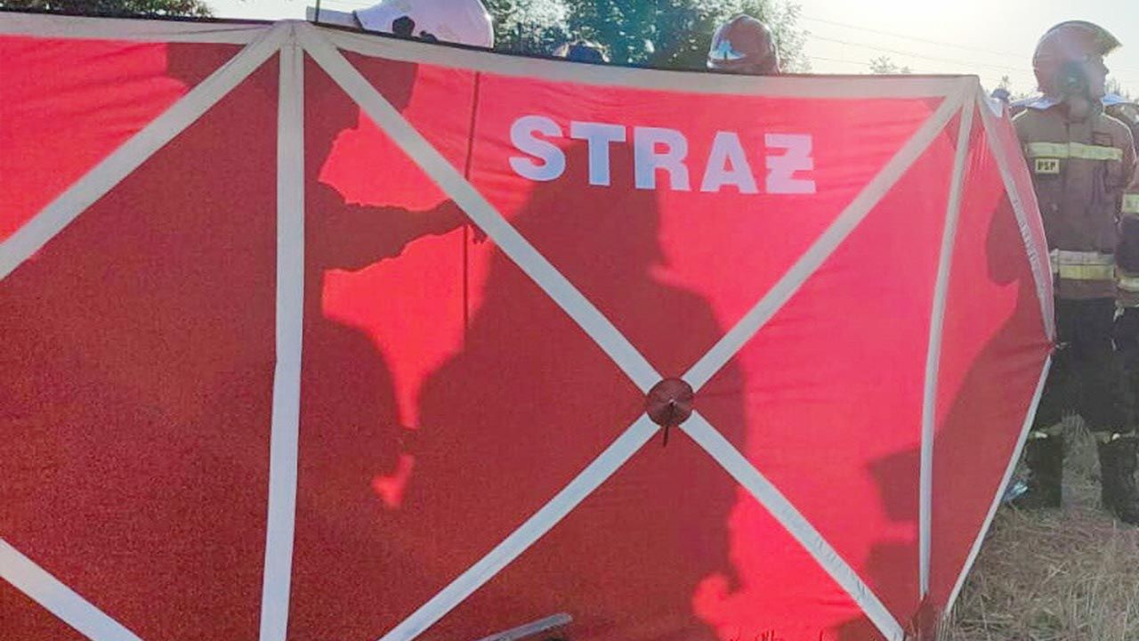 Pojazdem podróżowało 19 dzieci i dwoje opiekunów (fot. PAP; zdjęcie ilustracyjne) Pojazdem podróżowało 19 dzieci i dwoje opiekunów (fot. PAP; zdjęcie ilustracyjne)