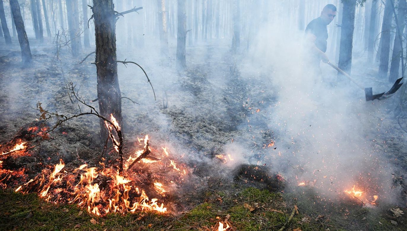 W powiecie grójeckim płonie ponad 100 ha lasu (fot. PAP/Piotr Polak)