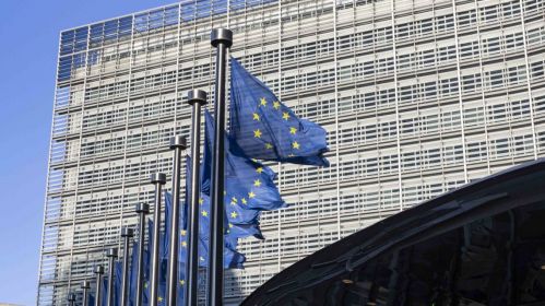 European flags fly on the flagpoles. Brussels, Belgium. April 7, 2025. Photo: Nicolas Economou / NurPhoto via Getty Images