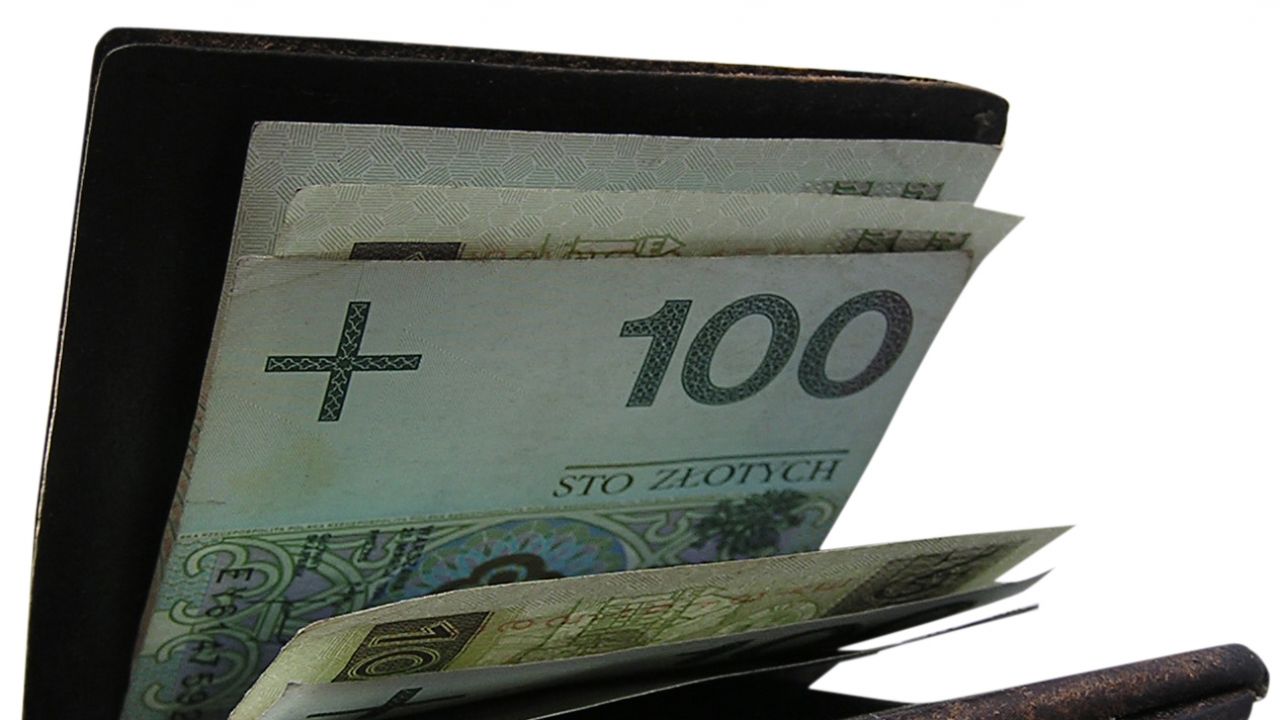 Złoty Złoty