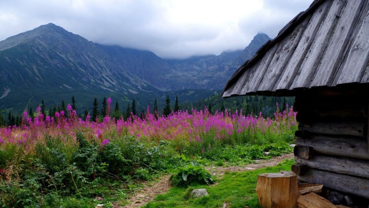 Ze względu na ochronę przyrody, Mroźna jest zamykana na zimę (fot. Pixabay/ilcsab) Ze względu na ochronę przyrody, Mroźna jest zamykana na zimę (fot. Pixabay/ilcsab)