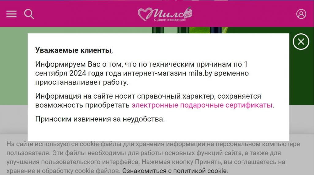 Чарговая абвестка аб «тэхнічных праблемах» на сайце сеткі «Міла». (Скрыншот: Mila.by)