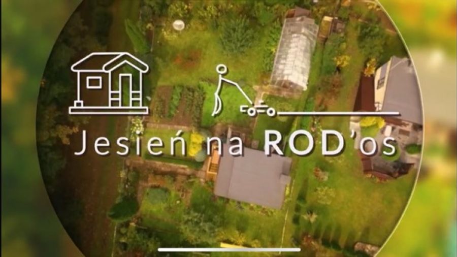Jesień na ROD'os