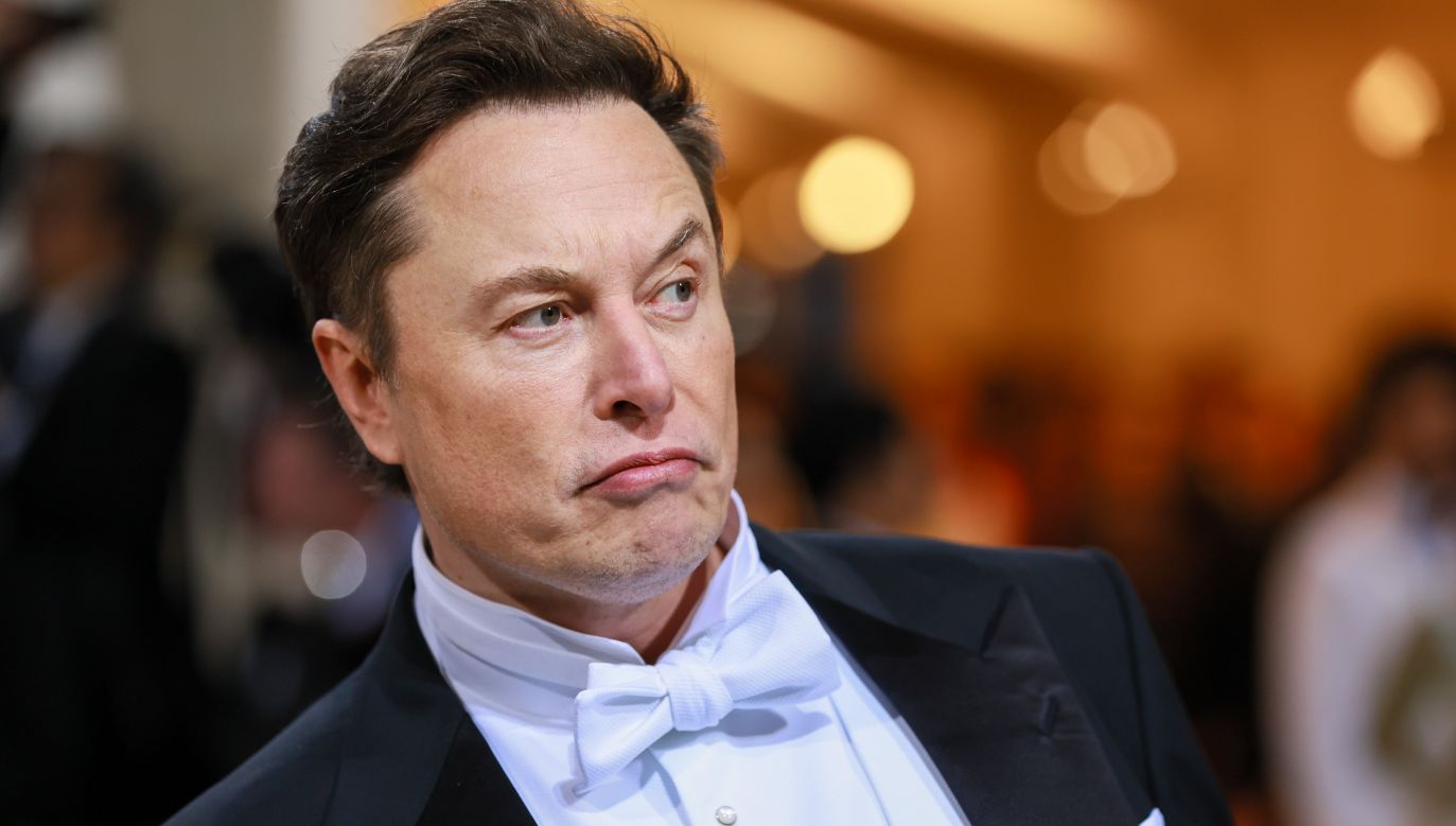 Mr Musk also said he could start his own social media platform. Photo: Theo Wargo/WireImage