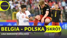 Piłka nożna, Liga Narodów: Belgia – Polska [SKRÓT MECZU] (fot. PAP)