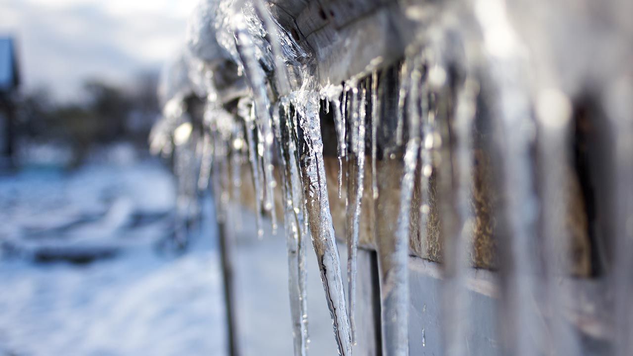 Poszkodowana kobieta trafiła do szpitala z urazem głowy (fot. Shutterstock/cosmopolit) Poszkodowana kobieta trafiła do szpitala z urazem głowy (fot. Shutterstock/cosmopolit)