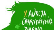 x-jubileuszowa-aukcja-charytatywna-ziarno-sztuki-ogrod-nadziei