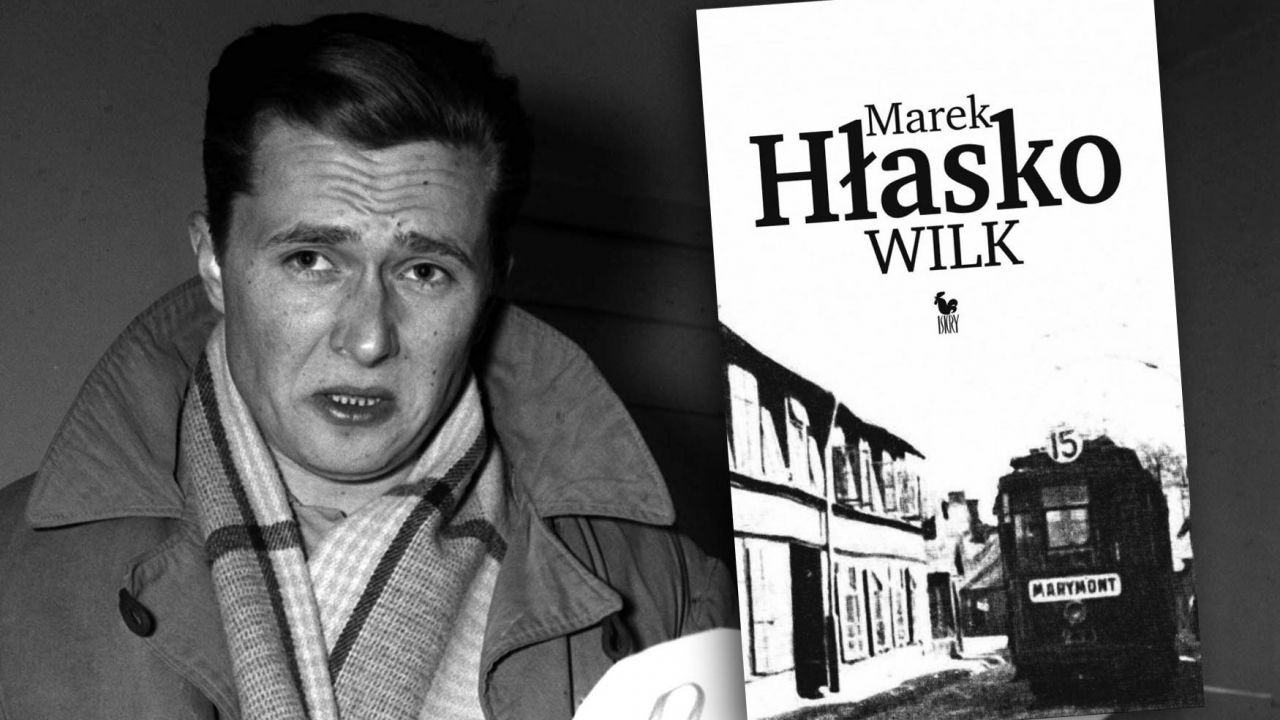 Niezwykła premiera po 62 latach. 23 września ukazuje się debiutancka powieść Marka Hłaski „Wilk” (fot. arch.PAP/Adam Mottl) Niezwykła premiera po 62 latach. 23 września ukazuje się debiutancka powieść Marka Hłaski „Wilk” (fot. arch.PAP/Adam Mottl)