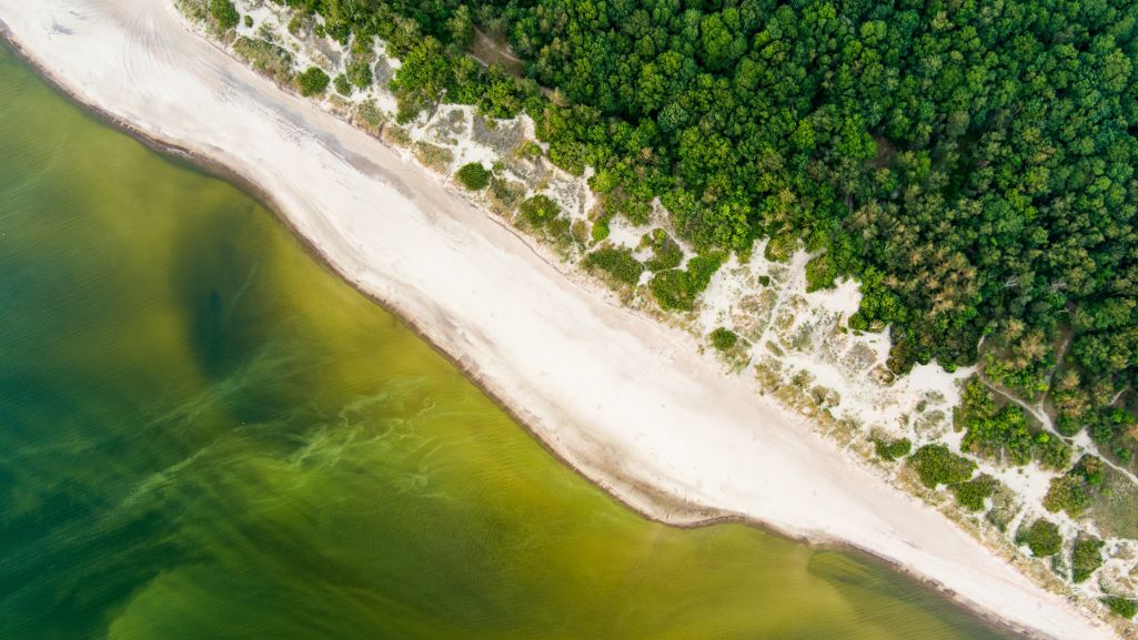 Plaża w Pustkowie charakteryzuje się tym, że jest piaszczysta i szeroka. Nawet w sezonie każdy znajdzie tam dla siebie dużo miejsca. Fot. MNStudio/Shutterstock