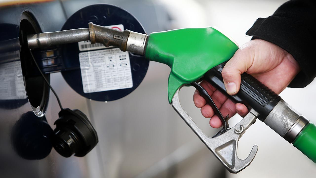 Pod lupą organów skarbowych znajdą się wszystkie stacje benzynowe (fot. Shutterstock/Tomas K)