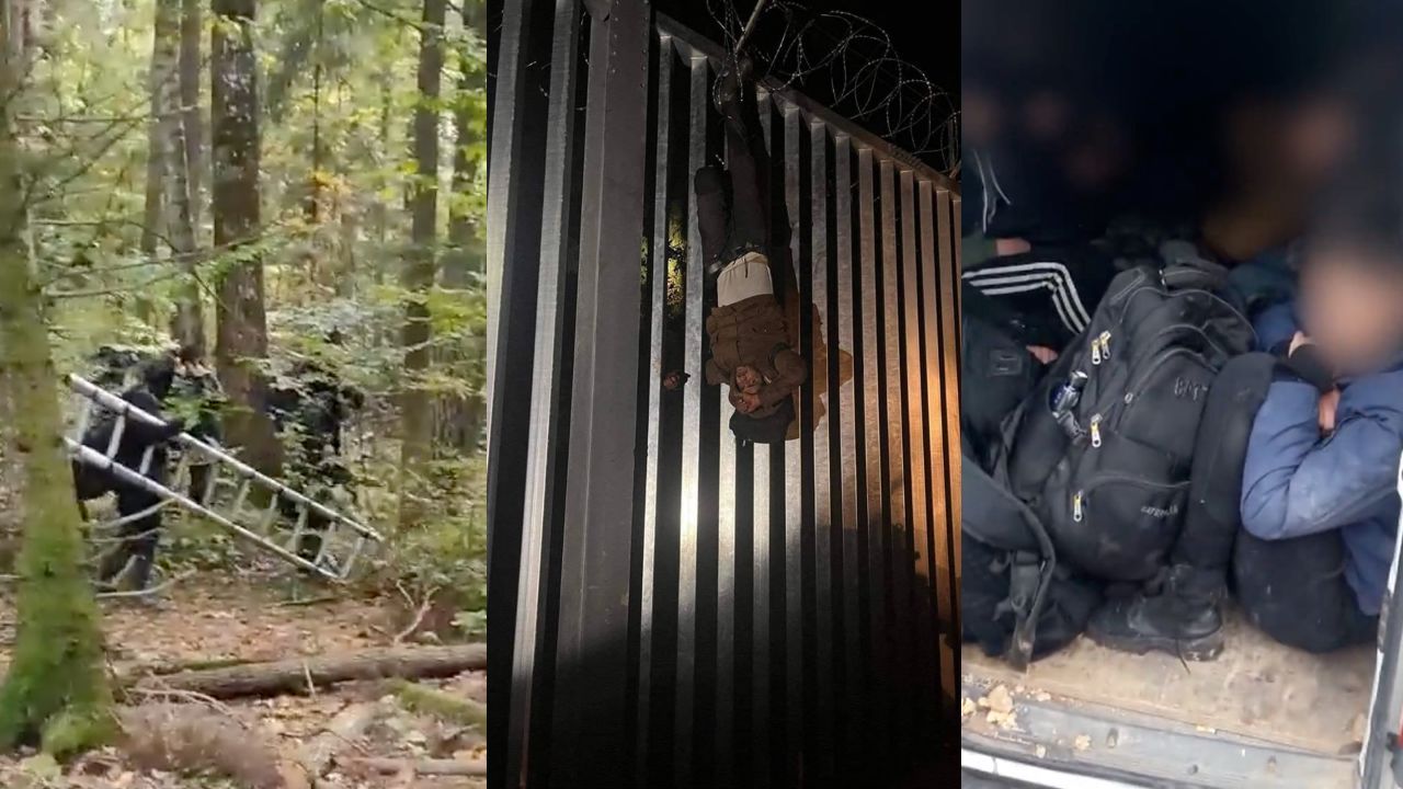 Tylko jednego dnia 118 imigrantów próbowało nielegalnie przedostać się z Białorusi do Polski (fot. twitter.com/Straz_Graniczna, lisieckipawel) Tylko jednego dnia 118 imigrantów próbowało nielegalnie przedostać się z Białorusi do Polski (fot. twitter.com/Straz_Graniczna, lisieckipawel)