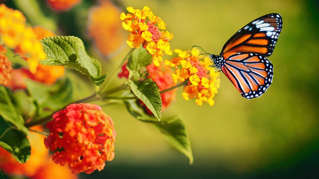 Równonoc wiosenna to czas, w którym długość trwania dni i nocy jest niemal równa. Fot. LedyX/Shutterstock