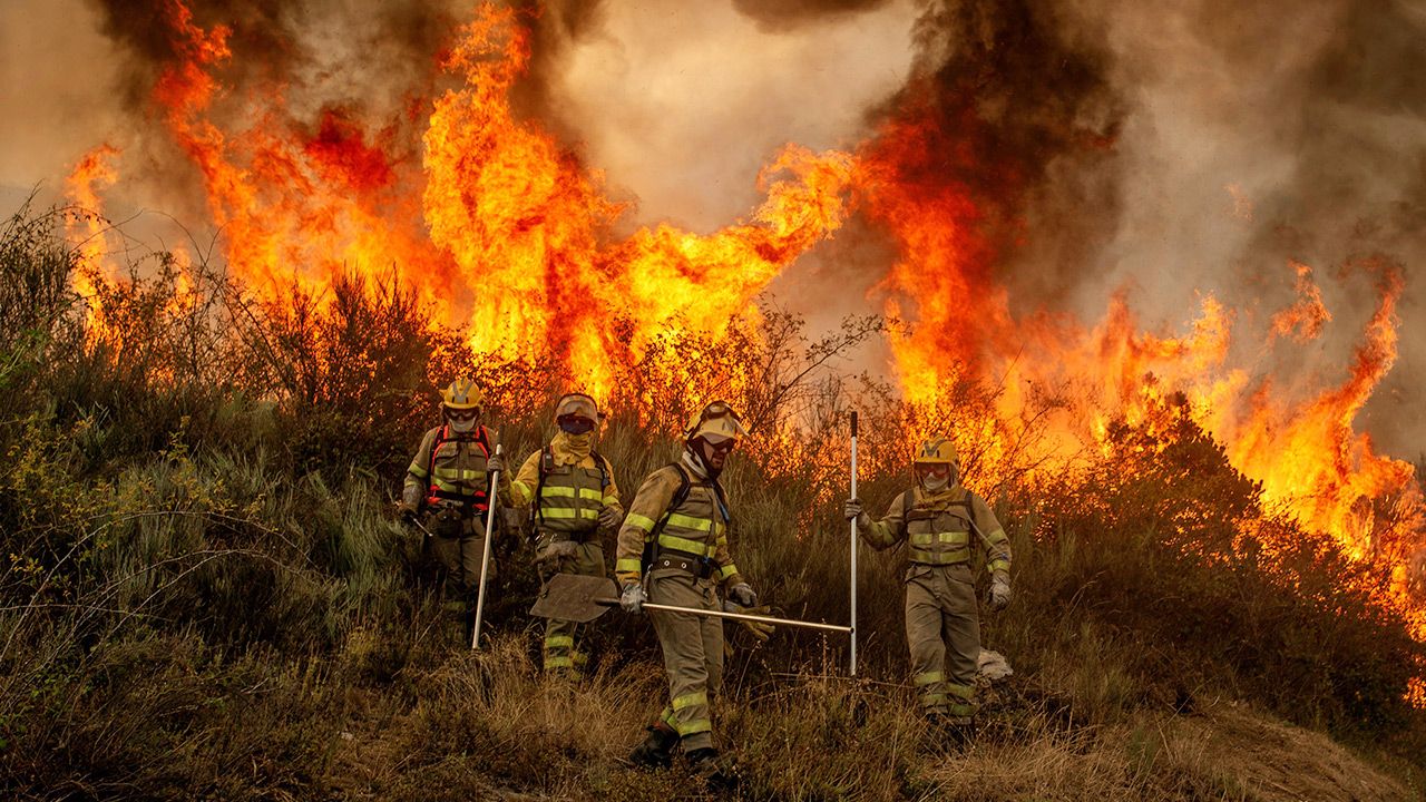 Największe pożary lasów występują w Hiszpanii w okolicach miast Avila, Zamora i Toledo w Kastylii (fot. PAP/EPA/BRAIS LORENZO)