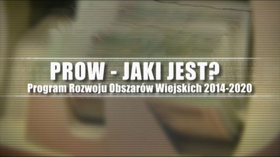 fot. TVP Białystok