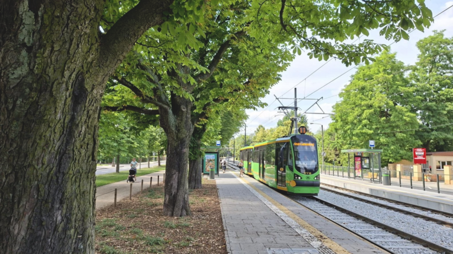 Letni rozkład jazdy, ZTM Poznań, zawieszone linie, mniej kursów (fot. ZTM)