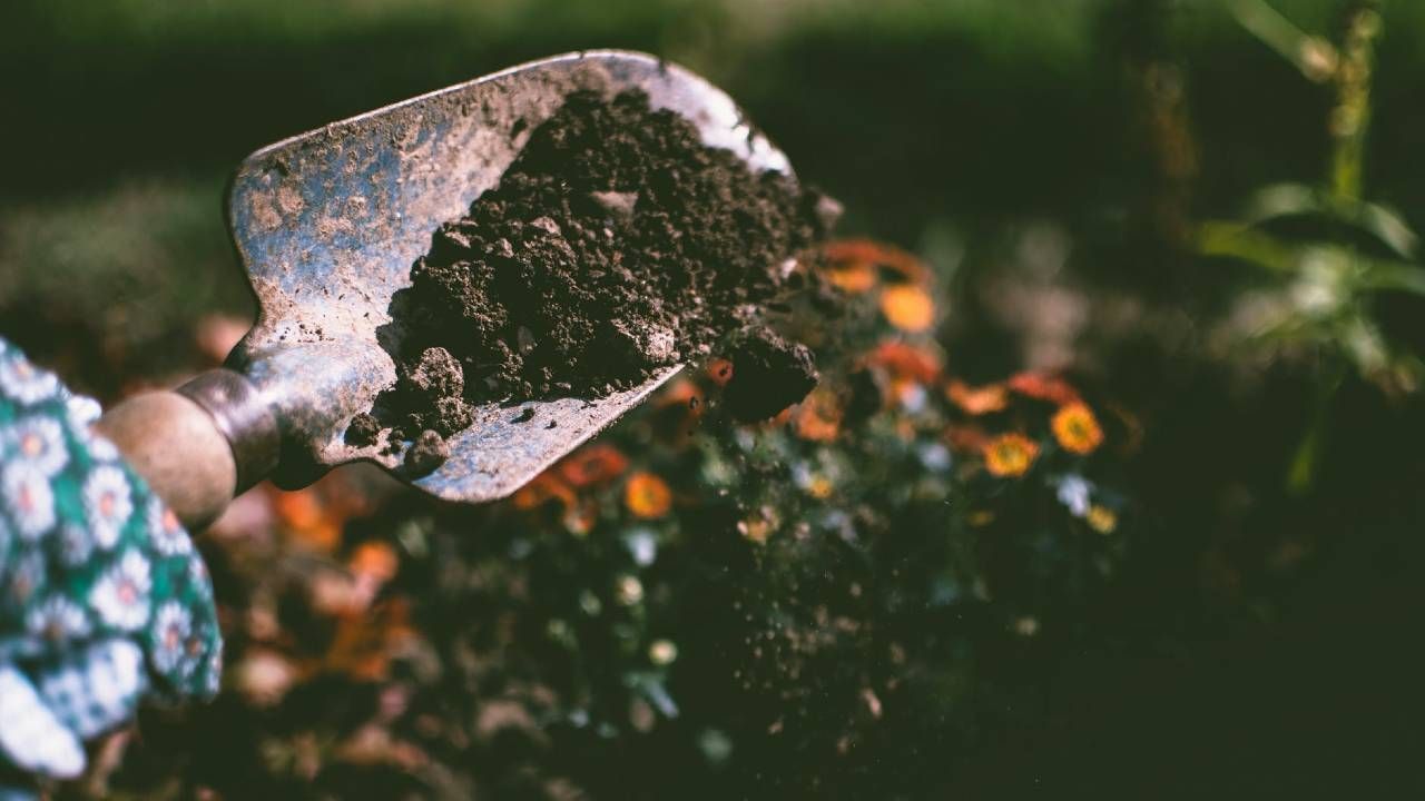 Matka przyznała się do winy i wyraziła skruchę (fot. Pexels) Matka przyznała się do winy i wyraziła skruchę (fot. Pexels)
