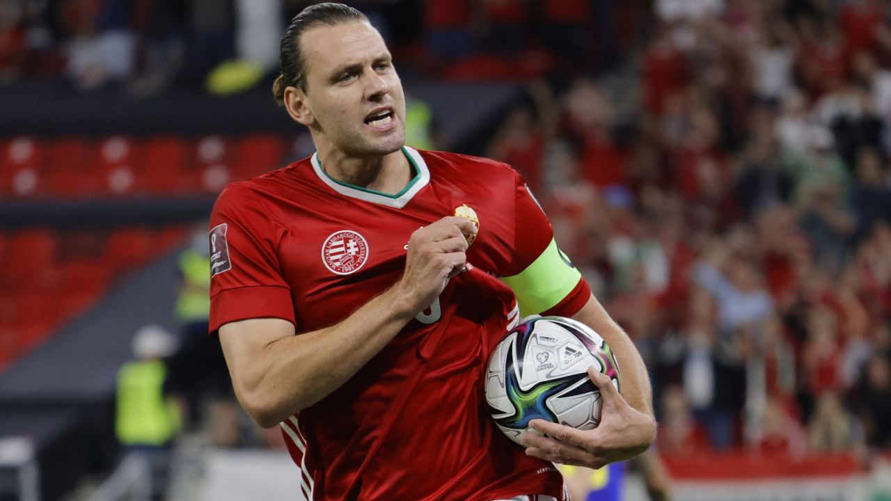 Adam Szalai strzelił pierwszego gola (fot. Getty)