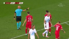 (fot. TVP Sport HD)